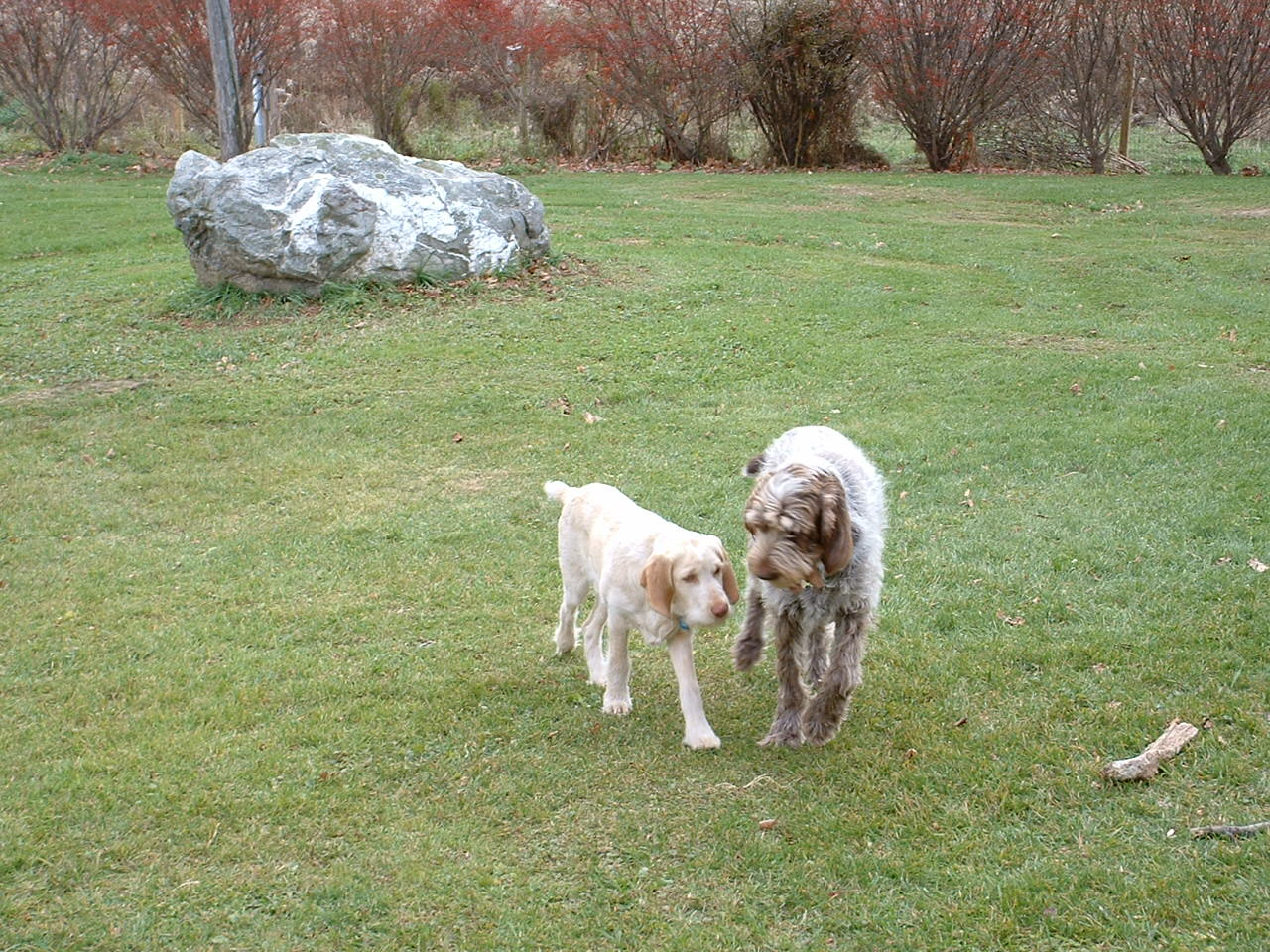 October 2009: diagnosis