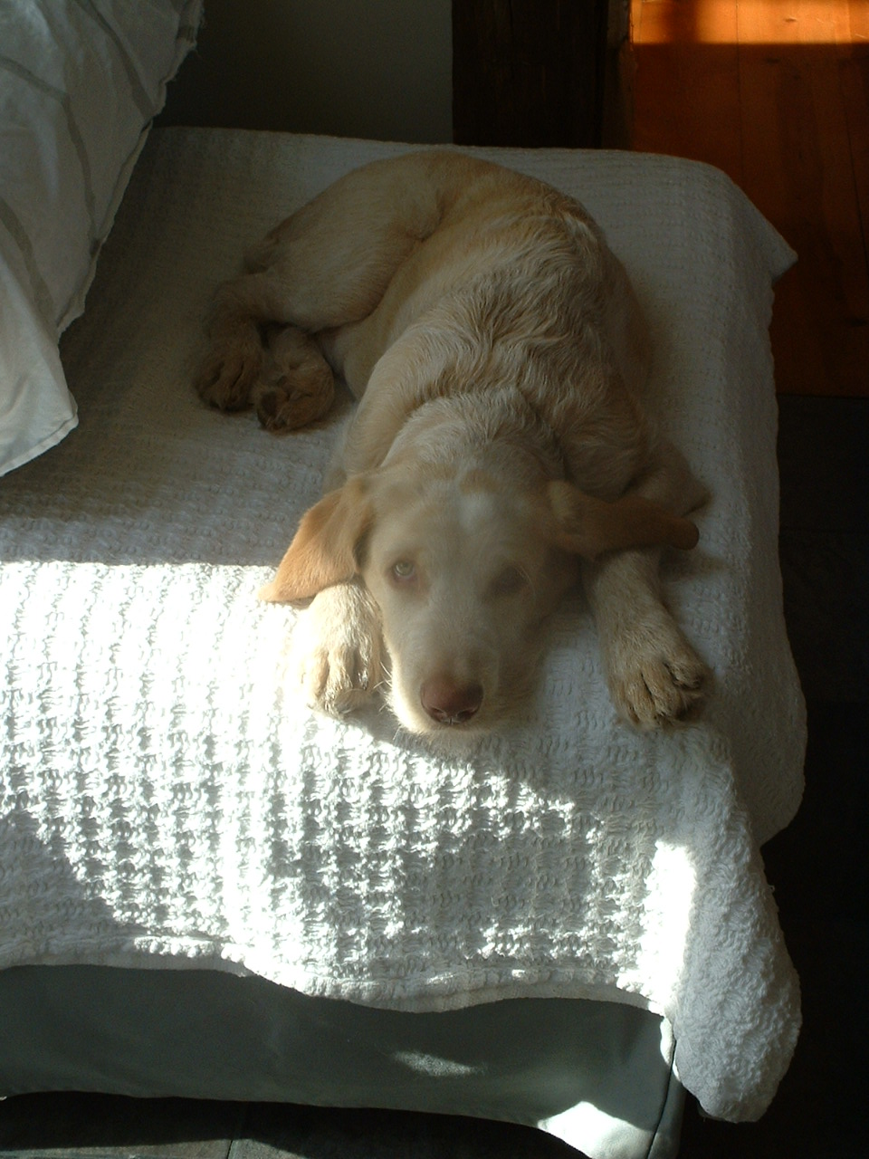 November – December 2009