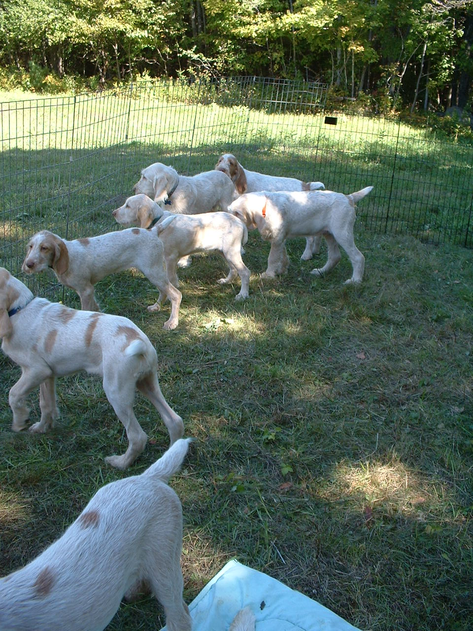 September 2009: first seizures